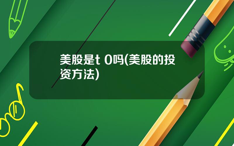 美股是t 0吗(美股的投资方法)